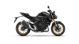 Hornet 1000 SP